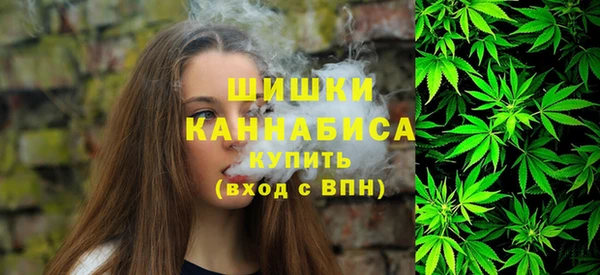 трава Арсеньев