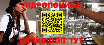 прущие грибы Нарткала