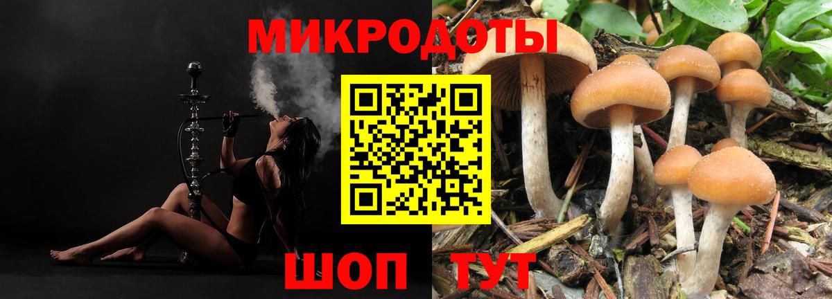 Псилоцибиновые грибы ЛСД Тара