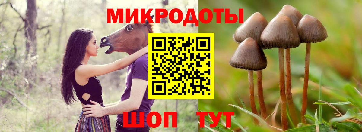 Тара  Псилоцибиновые грибы MAGIC MUSHROOMS  Вход с VPN  Галлюциногенные грибы мухоморы 